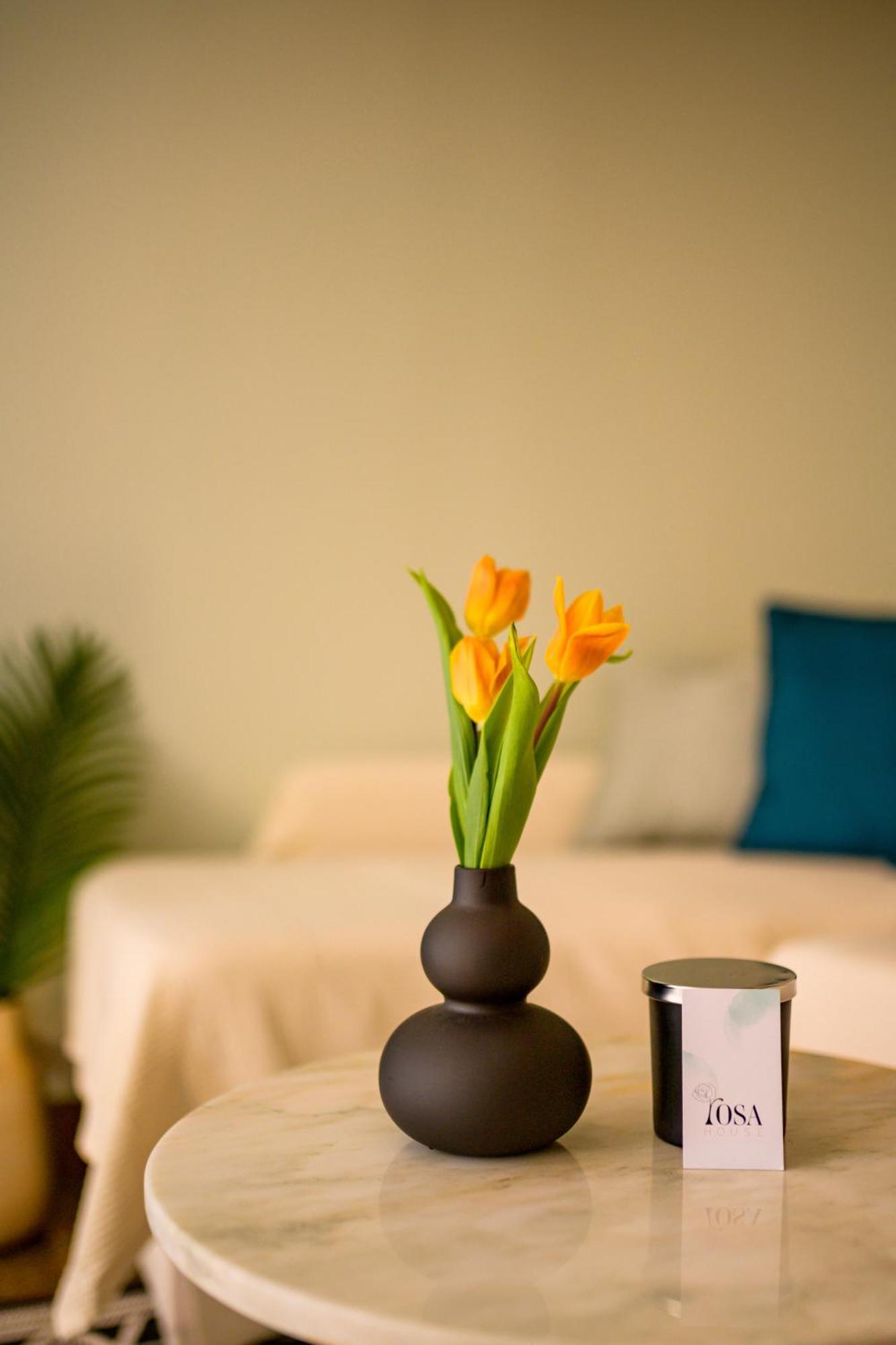 Apartman House Rosa